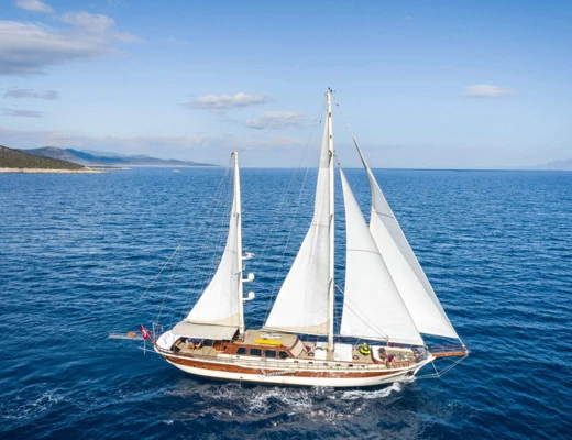Estrella De Mer