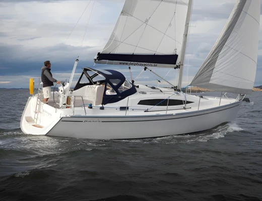 Delphia 33.3