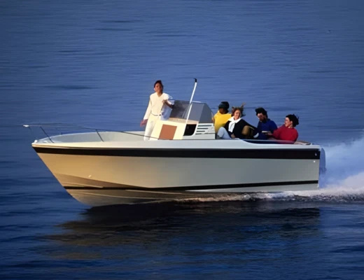 Cap Camarat 650