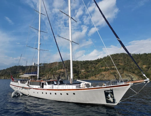 Nautilus