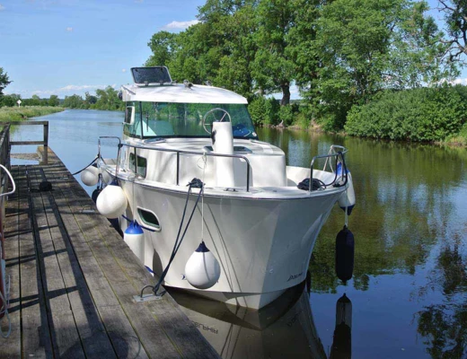 Delphia 800