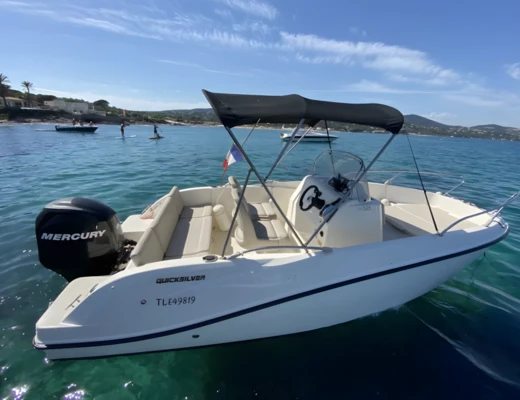 Quicksilver 535