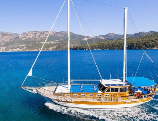 Dilara-1