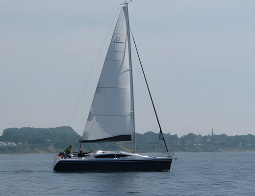 Maxus 33.1 RS