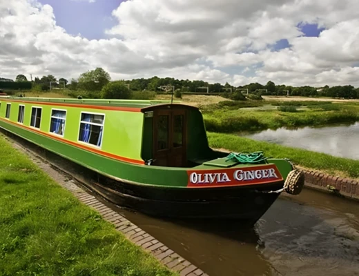 Olivia Ginger