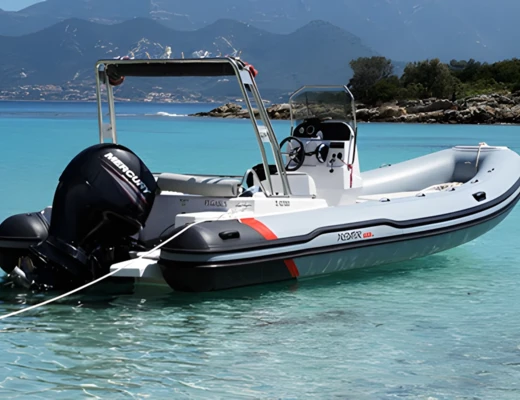 Predator 650