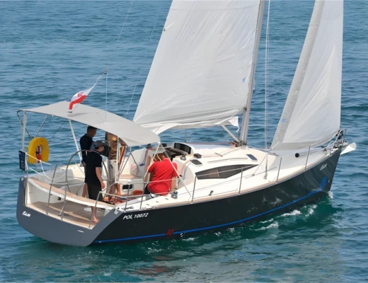 Cobra 33