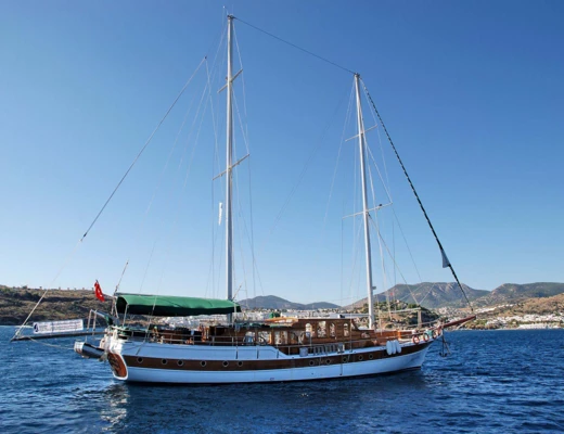 M/S Hera
