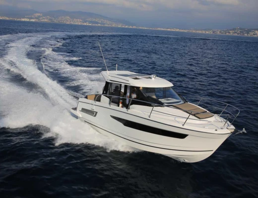Merry Fisher 895
