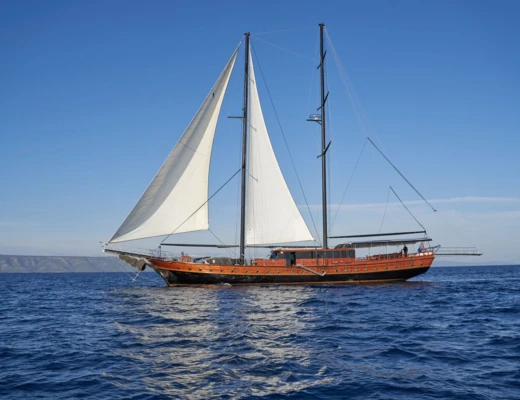 Stella Maris