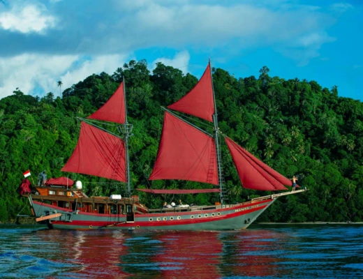 Manta Mae