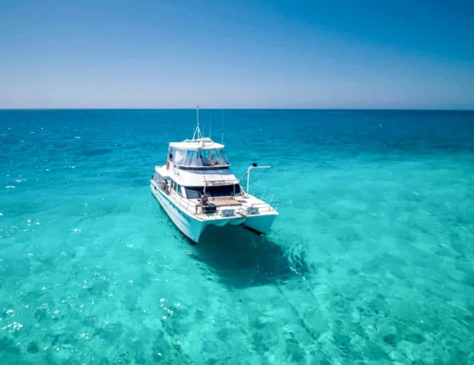 Brava Marine 45