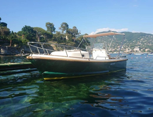Nelson 24