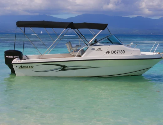 Angler 204 WA