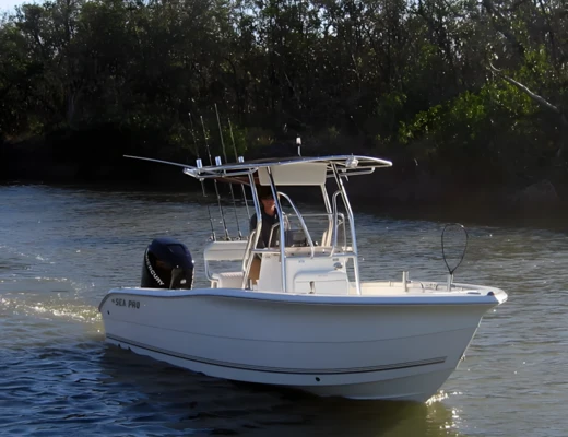 SEA PRO 220CC