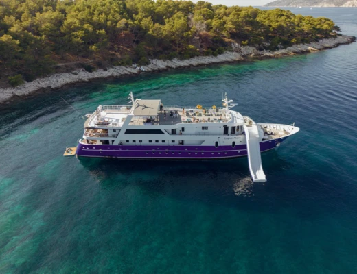 Lupus Mare