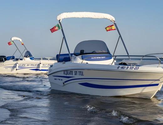 Ego 475