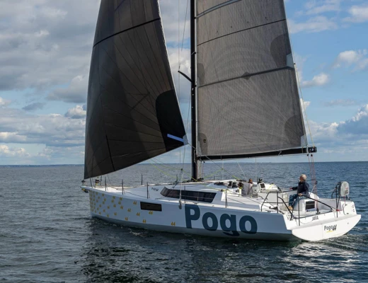 Pogo 44