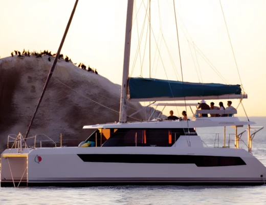 Leopard 42