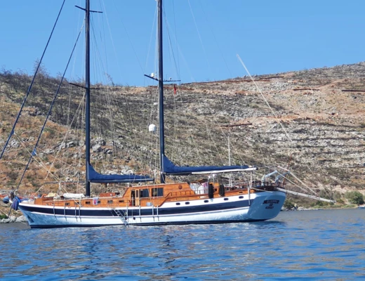 Elianora