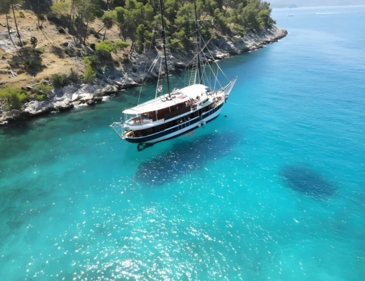 M/B Elena