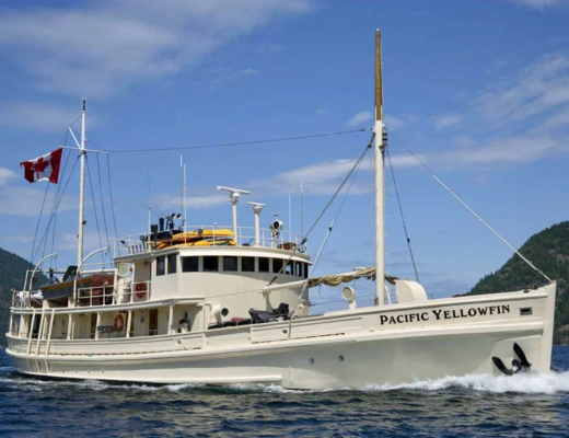 Pacific Yellowfin