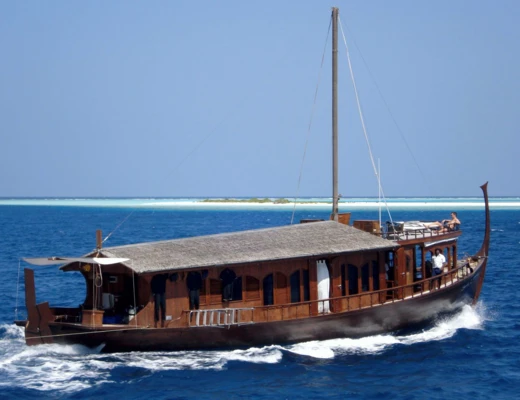 Dhoni Stella 2