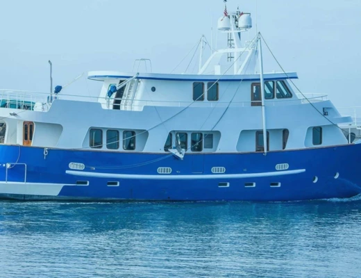 M/Y Bear Paw