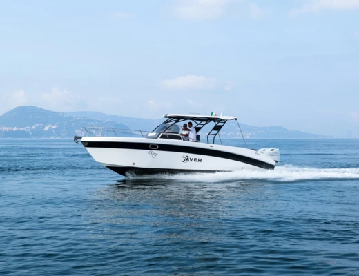 Saver 870