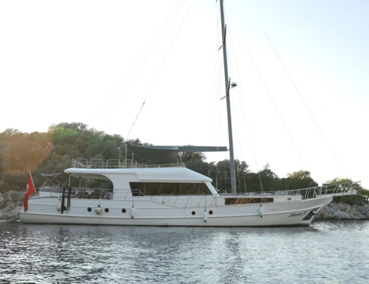 Albatros M