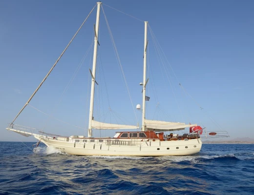 Liberte 11