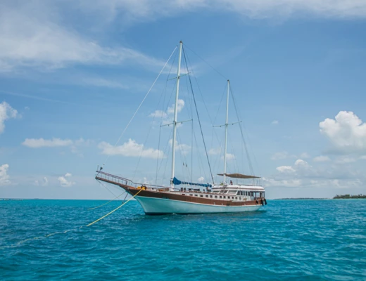 Akoya Pearl