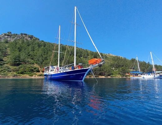 Turquoise Seas