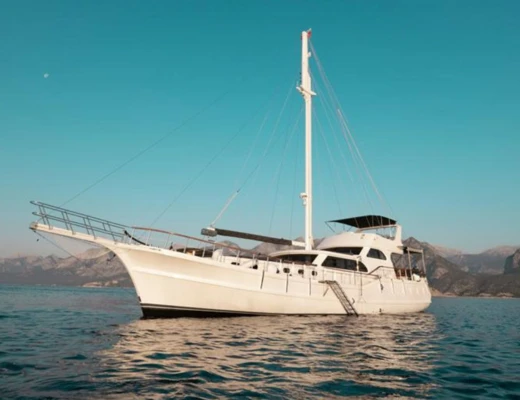 M/S Ozde 1