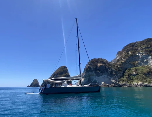 Fast Cruiser 42
