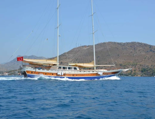 C. Taner 2