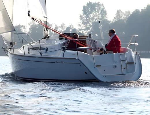 Delphia 29