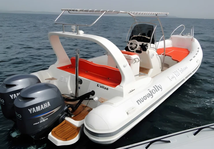 Nuova Jolly 820 King Hyeres harbour | 