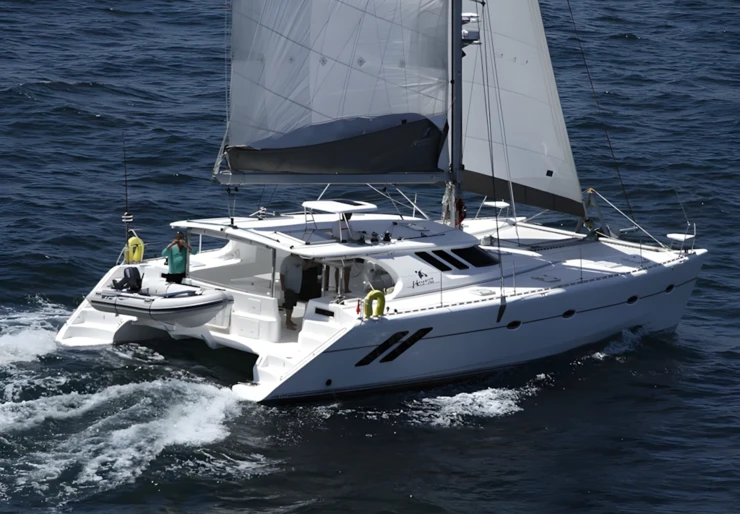 Knysna 480 Male | 