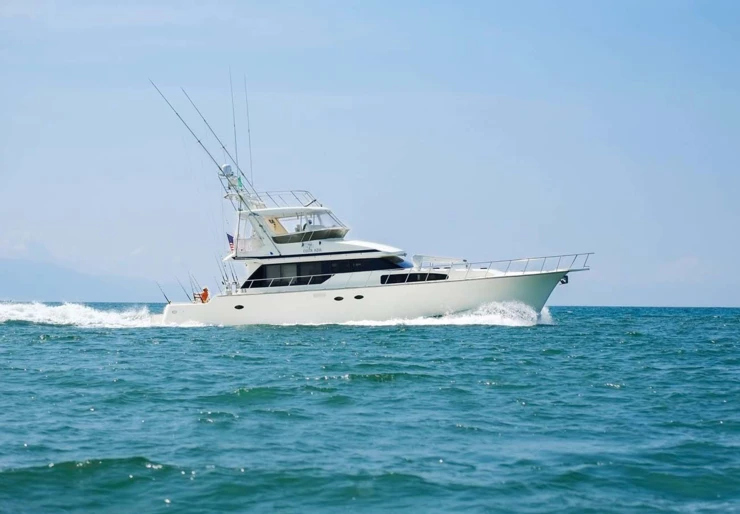 Mikelson 64 Puerto Vallarta | Costa Azul
