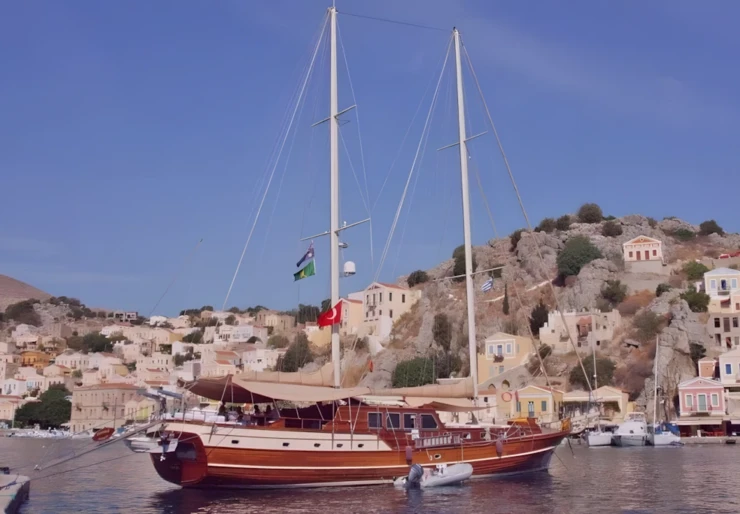Tanem H Turkey | Tanem H