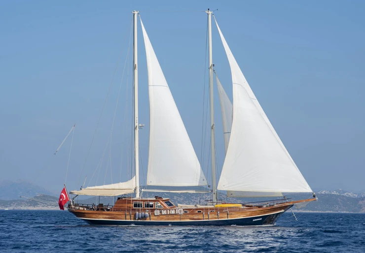M/S Samarkand Turchia | SAMARKAND