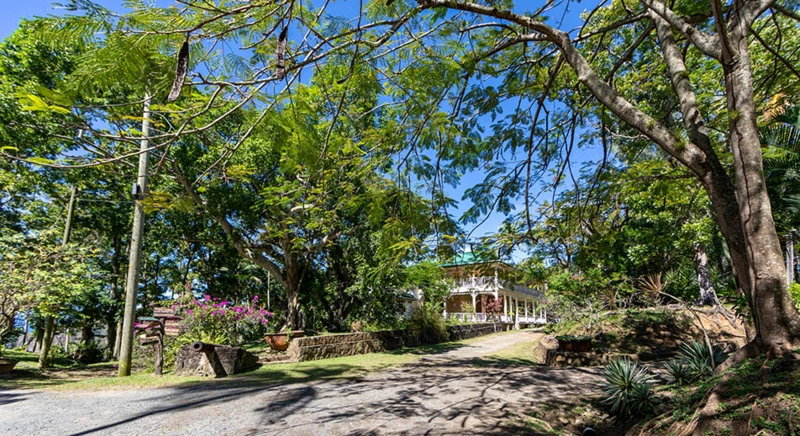 Visit the island of Saint Lucia by taxi with a guide