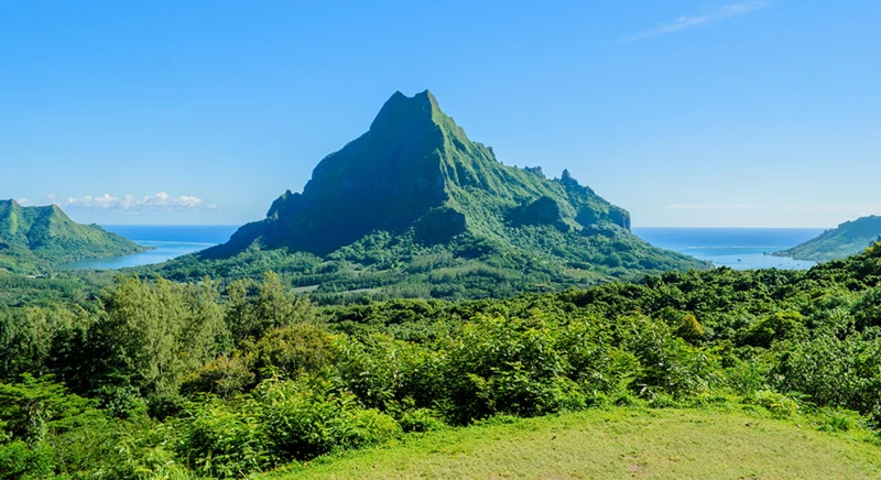Excursion ethno-botanique dans les vallées intérieures de Moorea
