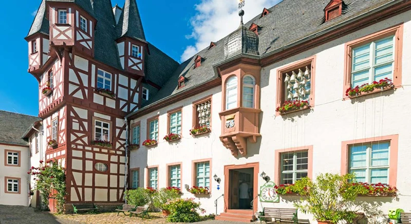 Tour en petit train, dégustation de vins et visite du musée de la musique mécanique à Rüdesheim