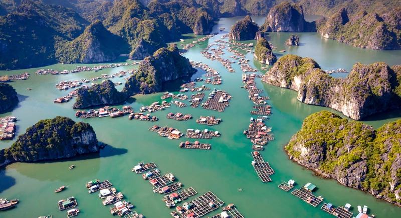 Auf Entdeckungstour durch das Fischerdorf Viet Hai