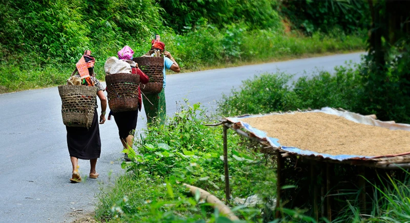 Visite d'un village d'un tribu des montagnarde