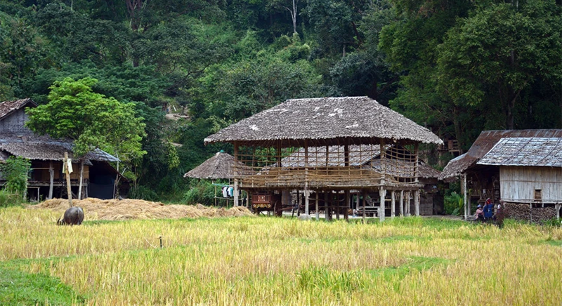 Promenade matinale au village de Ban Luang Tong