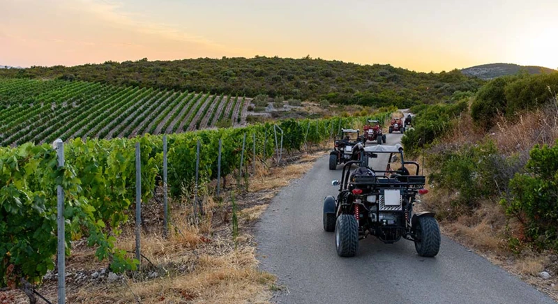 Safari buggy à Korcula