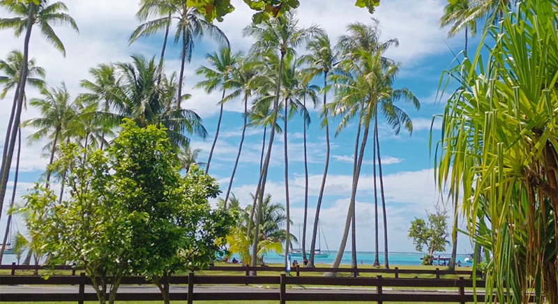 Visite guidée de Moorea